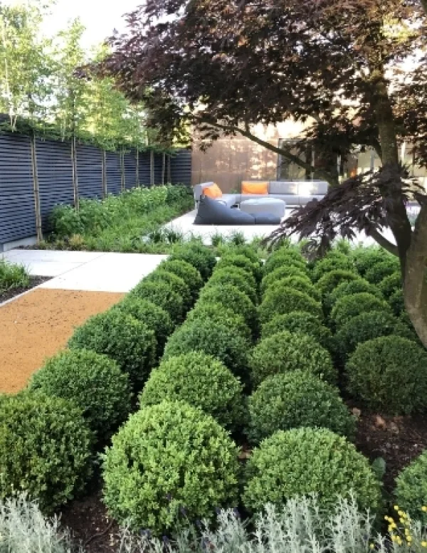 Planet 14 landscaped garden