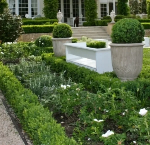 Landscaped Garden With Hedges