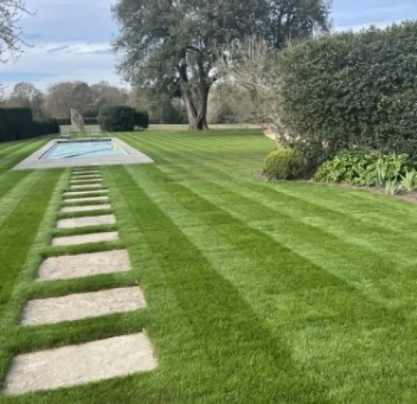 Landscaped Garden With A Pool